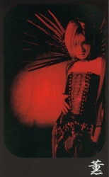 Dir en grey 1999 Dir en greyの「ぬっ」 タワレコ限定 トレカ 薫