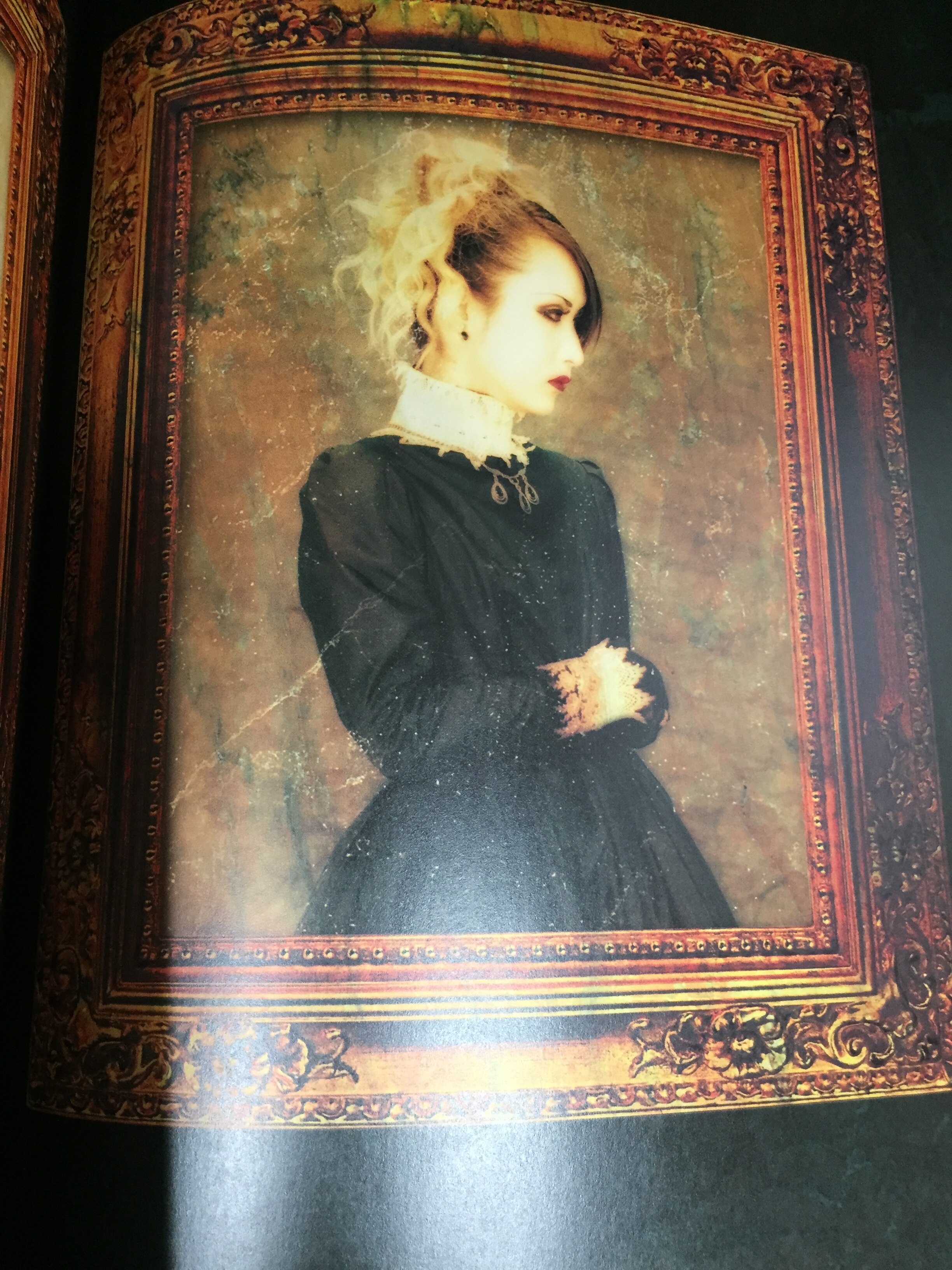 MALICE MIZER 写真集 薔薇の輪舞 / 薔薇の悲劇 真夜中に交わした約束 2 