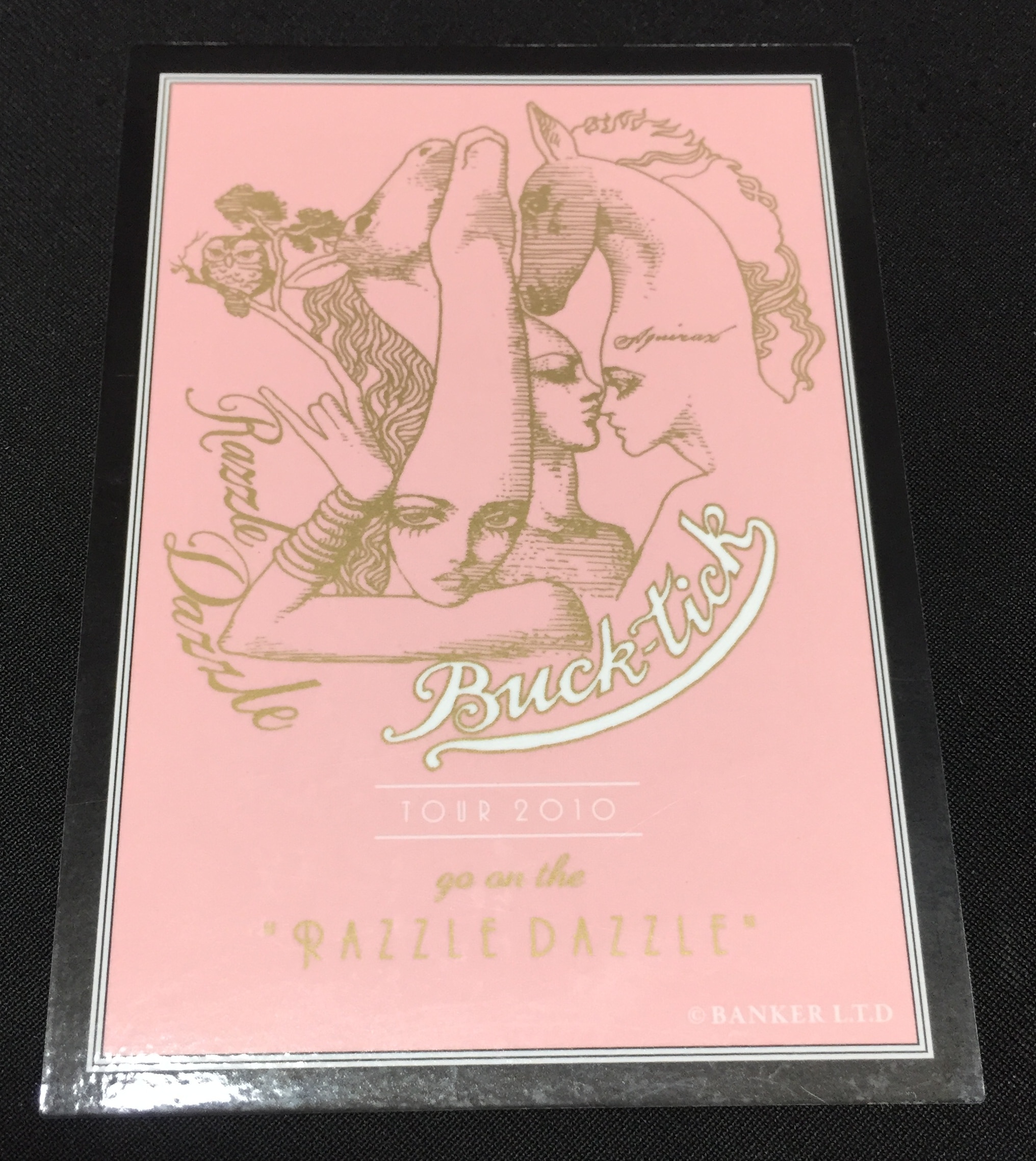 BUCK_TICK初回 DVD BUCK-TICK TOUR 2010 RAZZLE DAZZLE - ミュージック