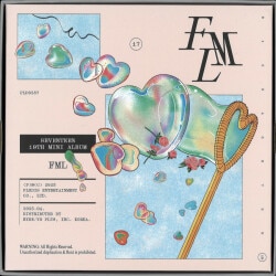 CD SEVENTEEN FML CARAT盤 JEONGHAN *ケーススレ、小イタミ