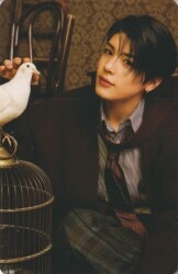 &TEAM PHOTOCARD MAKI 2025 FANMEETING