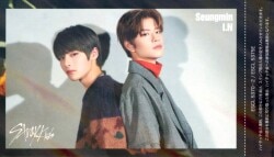 StrayKids SKZ2020 Seungmin/I.N トレーディングカード ユニット　ハイタッチ券