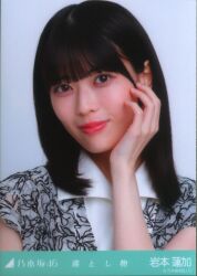 乃木坂46 川崎桜 樋口日奈 卒業セレモニーTシャツ コンプ