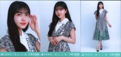 乃木坂46 川崎桜 樋口日奈 卒業セレモニーTシャツ コンプ