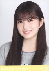 乃木坂46 会場限定生写真 小川彩 ごんぞうカチューシャ コンプ 乃木坂46 会場限定生写真 小川彩 ごんぞうカチューシャ コンプ