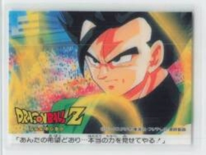 ドラゴンボールZカレー あんたの希望どおり・・・本当の力を見せてうある! ナシ