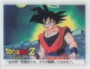 ドラゴンボールZカレー あの世の天下一武道会でも、オラが優勝してみせる!! ナシ