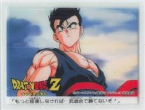 ドラゴンボールZカレー もっと修行しなければ・・・武道会ではかてないぞ! ナシ