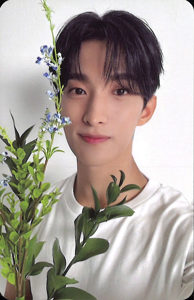 SEVENTEEN セブチ ひとりじゃない ケーキ HMVトレカ（ドギョム）