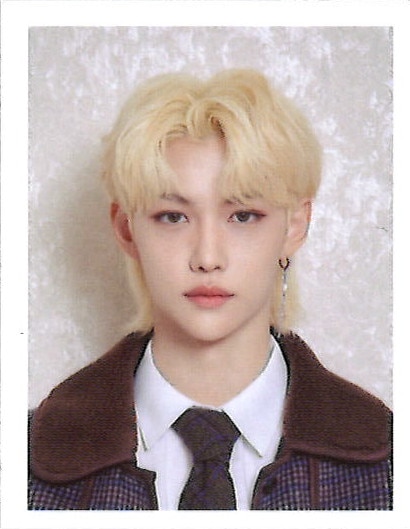 Stray Kids SKZ-X 1ST FELIX ID photo | ありある | まんだらけ MANDARAKE