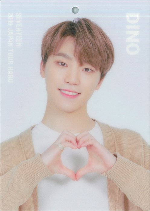 SEVENTEEN 女々しく 2019 JAPAN TOUR HARU DINO タオル