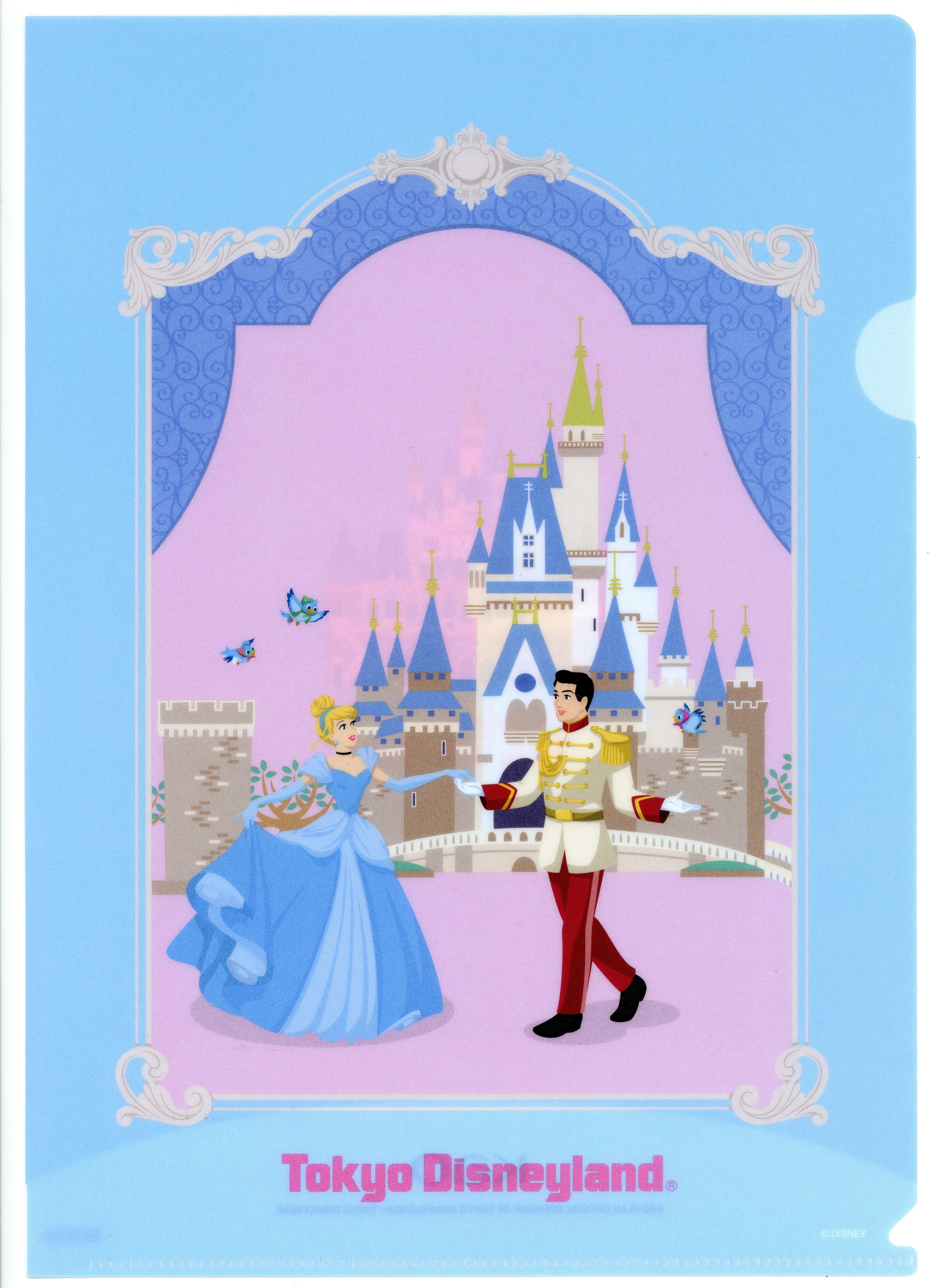 KAO Biore Tokyo Disneyland