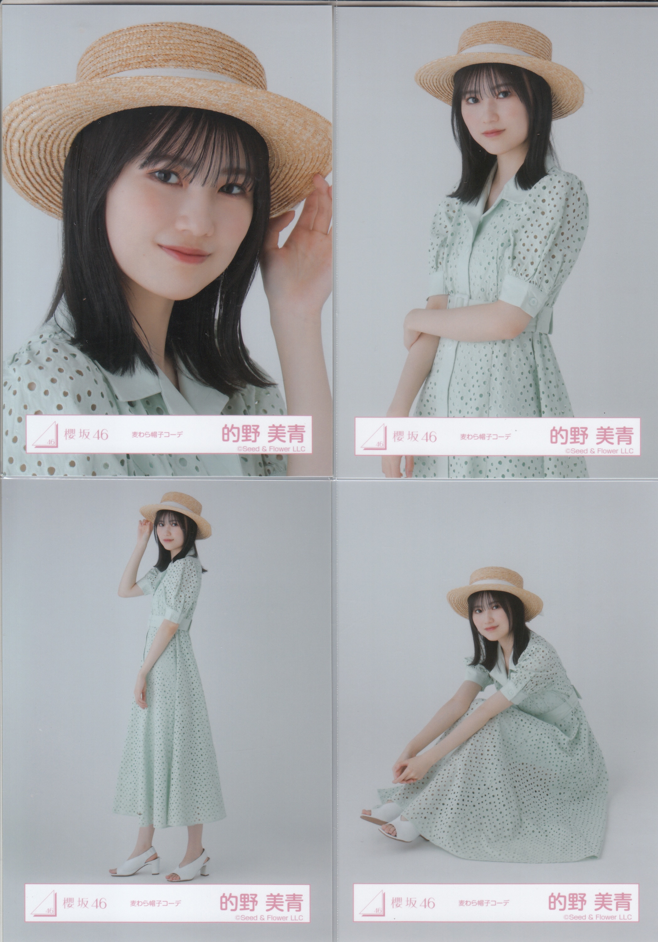 的野美青　櫻坂46 ランダム生写真　12種コンプ 櫻坂46 12th封入 的野美青コンプ - メルカリ