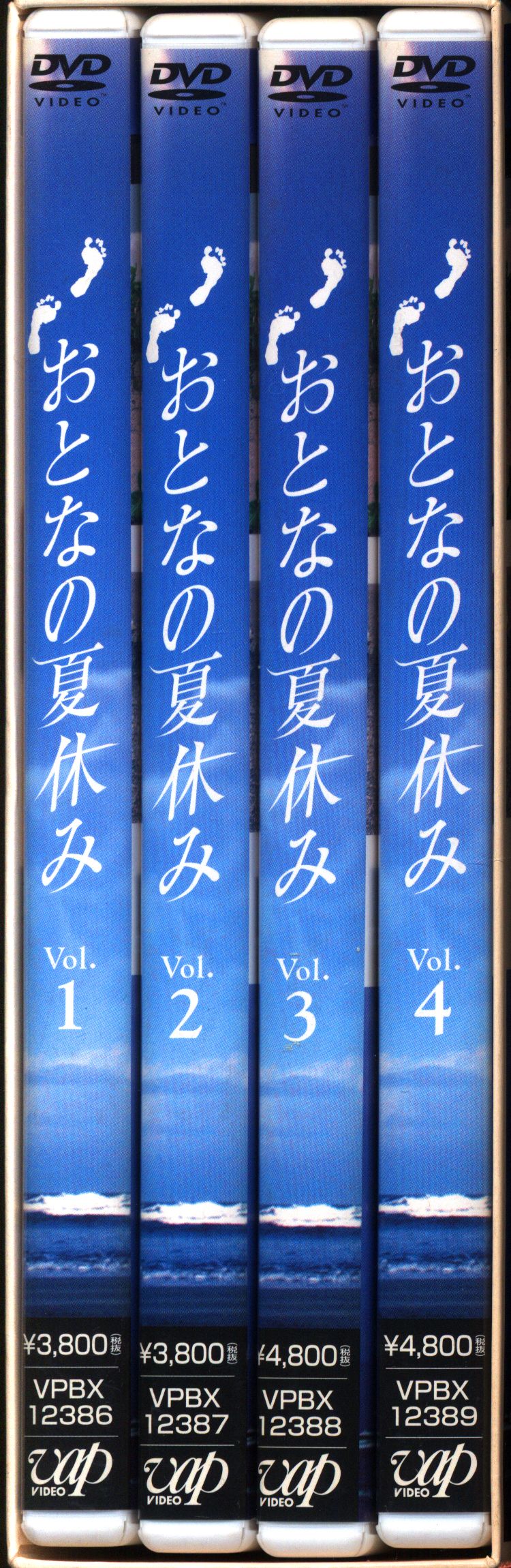 国内ドラマDVD おとなの夏休み DVD-BOX | まんだらけ Mandarake