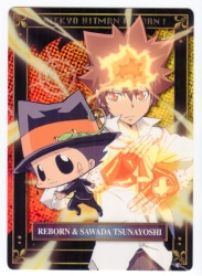 Baralho Anime Katekyo Hitman Reborn - Tsuna Sawada Tsunayoshi Hibari Kyoya  Lambo Carta Jogo Truco Pôker Cartas Cards Personagens