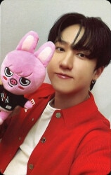 SEVENTEEN YOU MADE MY DAWN trading cards Sunguan | MANDARAKE 在线商店