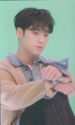 SEVENTEEN あいのちから MINGYU トレーディングカード