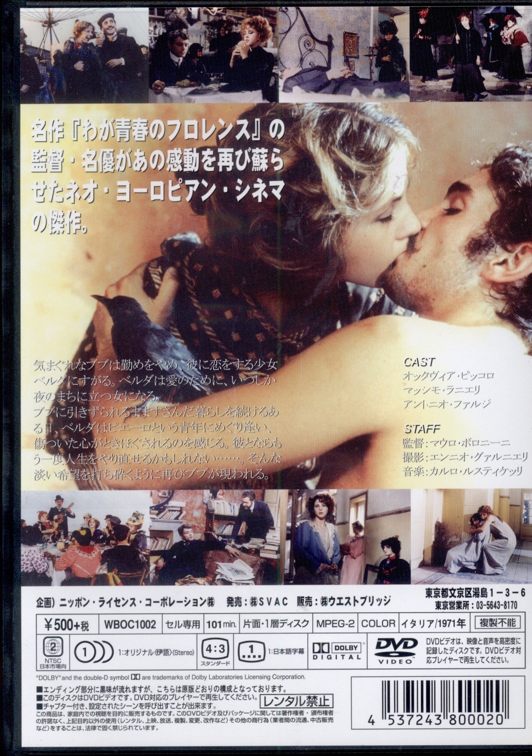 外国映画DVD マウロ・ボロニーニ 愛すれど哀しく | まんだらけ Mandarake
