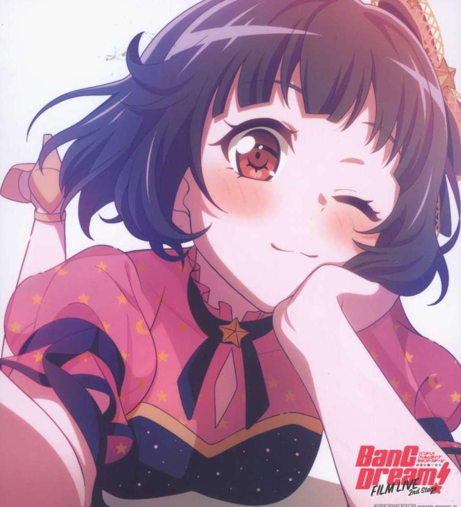 BanG Dream! FILM LIVE 2nd Stage Visitor Bonus Illustration Card