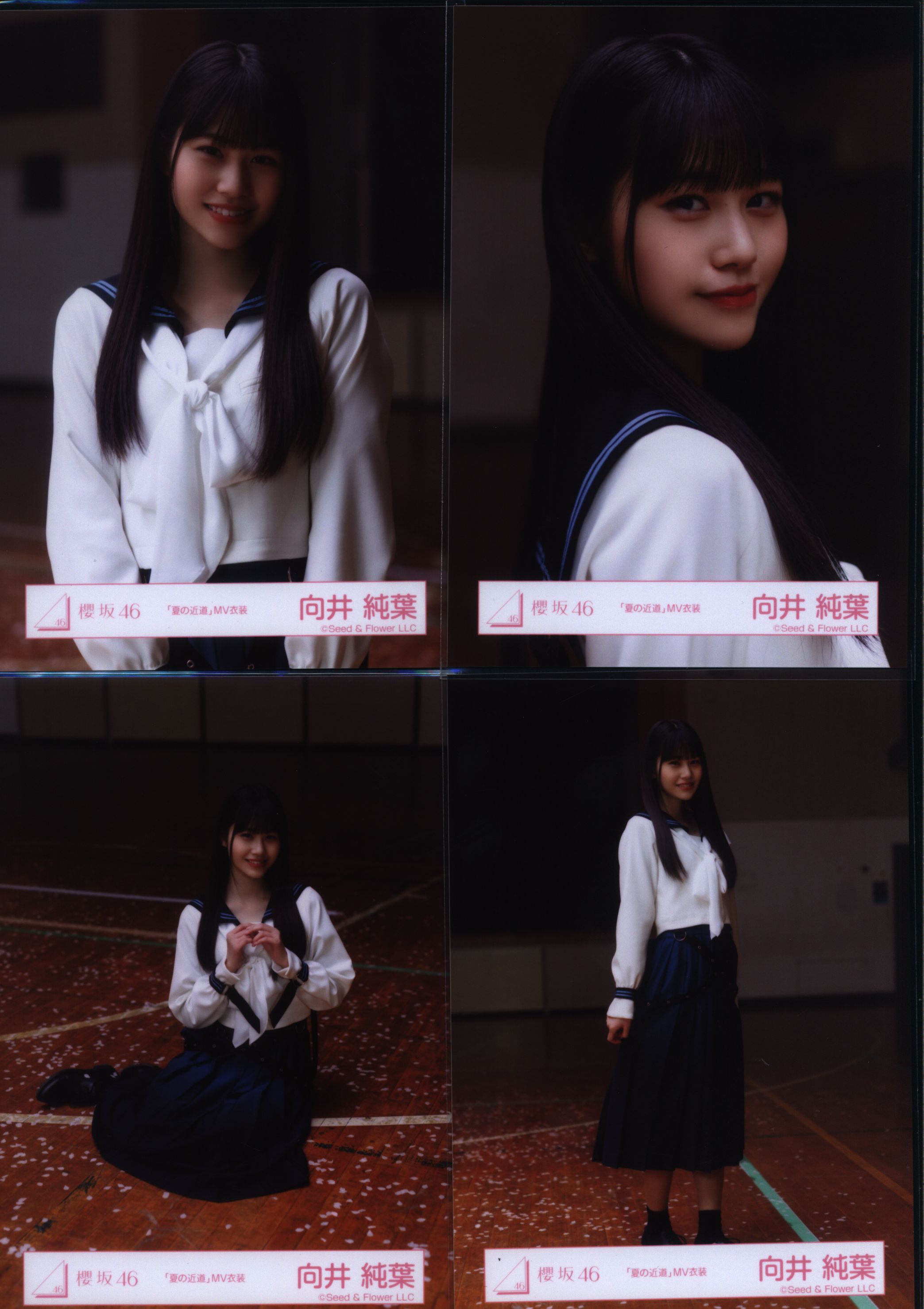 櫻坂46 生写真 夏の近道 MV衣装 3期生 全メンバーフルコンプ 11名44枚 
