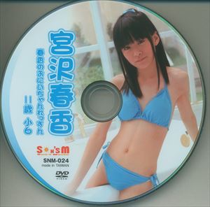 宮沢春香　ジュニアアイドル サンズエム(宮沢春香) DVD 春香のおにいちゃんれっすん ※Discのみ | ありある | まんだらけ MANDARAKE