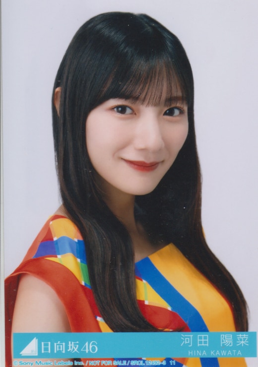 欅坂46 けやき坂46 日向坂46 生写真 河田陽菜 まとめ売り - 女性アイドル