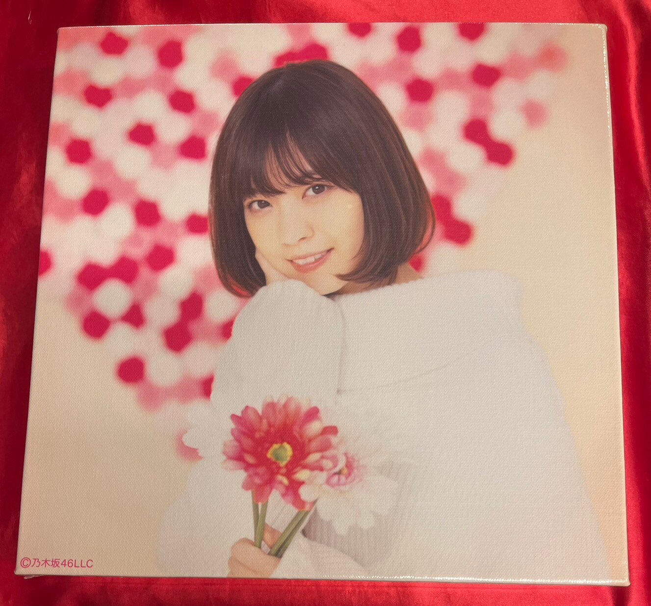 乃木坂46 白石麻衣 アートボード 乃木坂46 白石麻衣 アートボード 乃木坂46 白石麻衣 アートボード