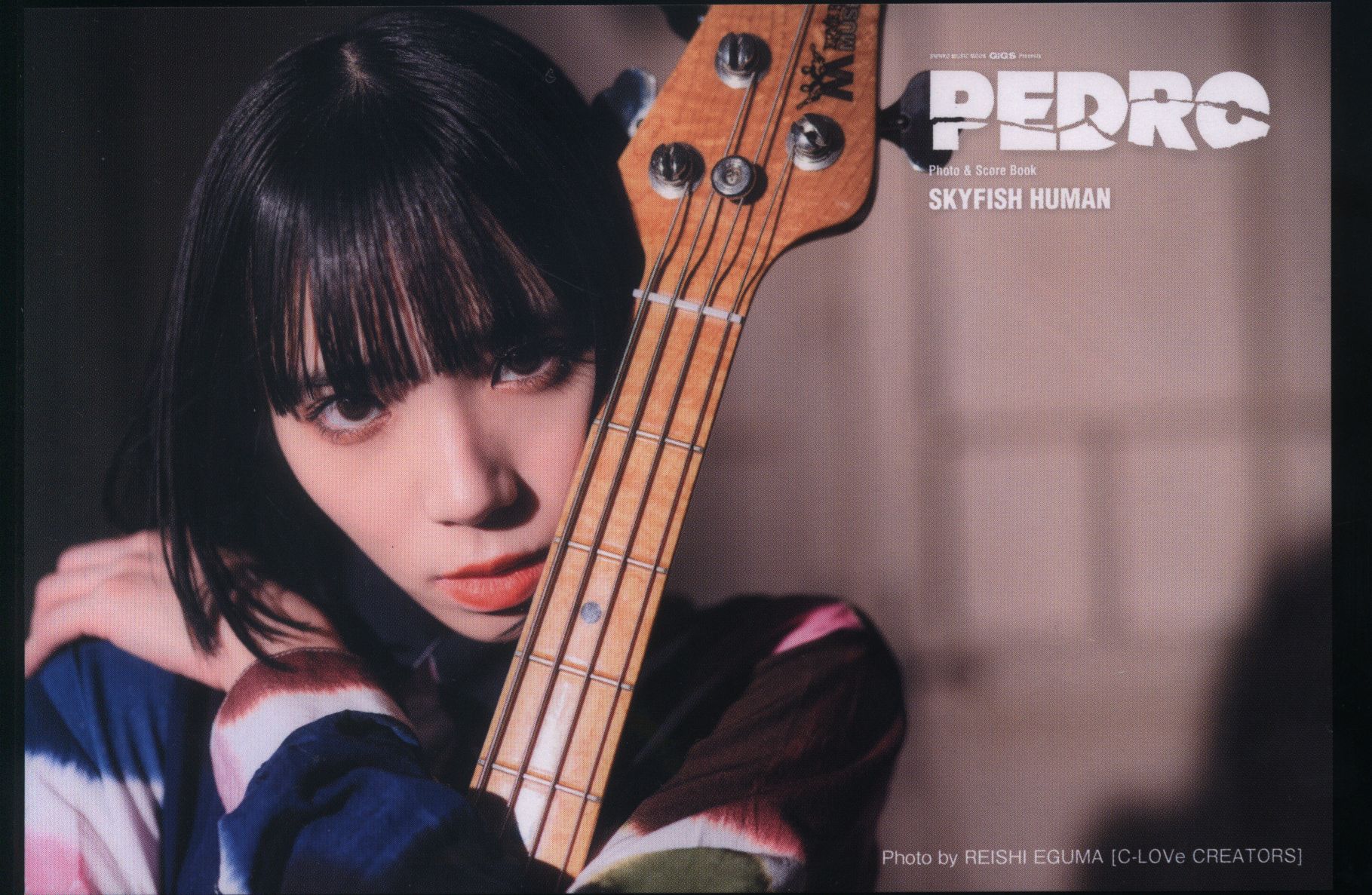 全品割引ヤフオク! - ＰＥＤＲＯ Ｐｈｏｔｏ ＆ Ｓｃｏｒｅ Ｂｏｏｋ