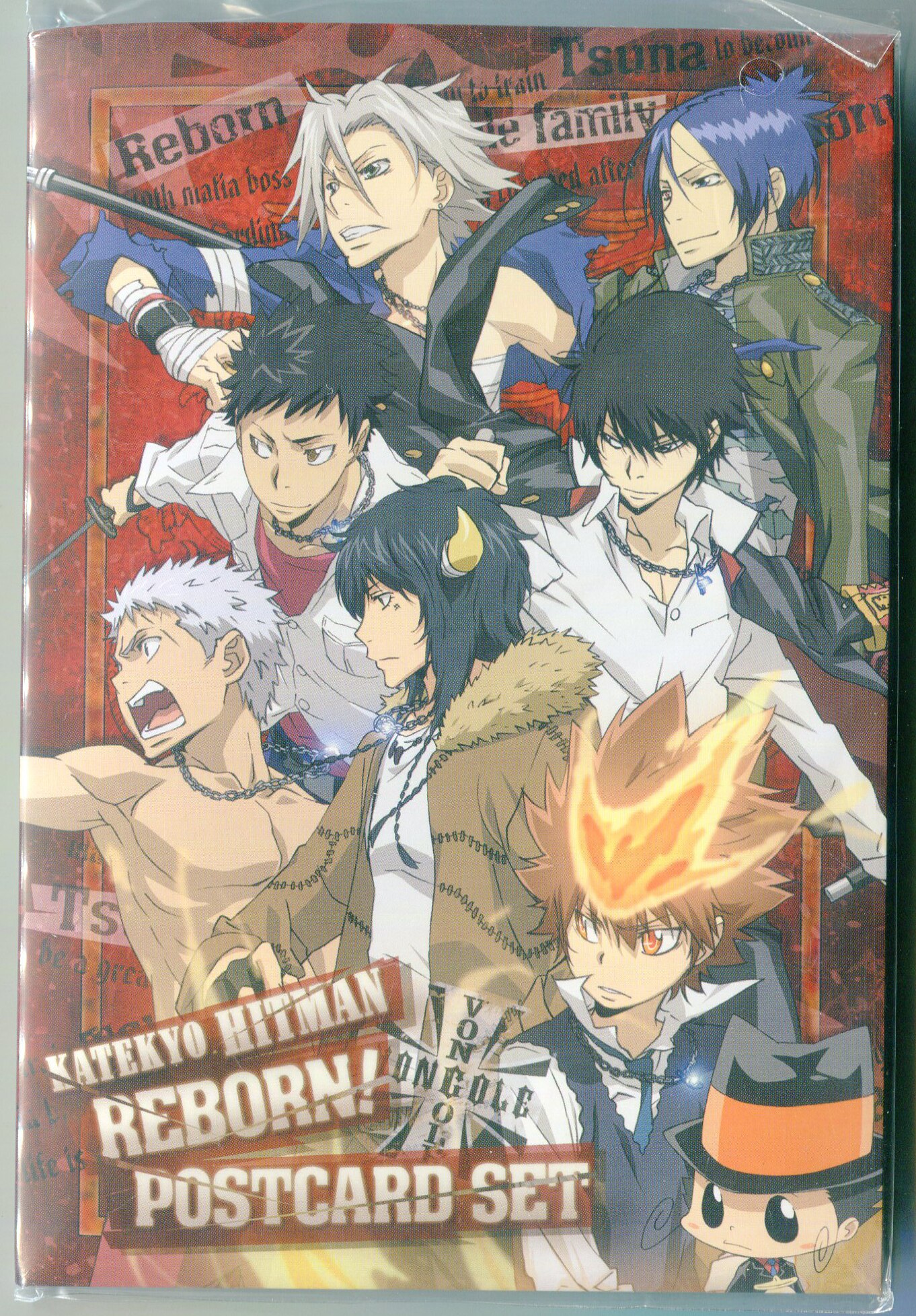 家庭教師ヒットマンREBORN ! ポスター8枚セット 家庭教師ヒットマンREBORN ! ポスター8枚セット