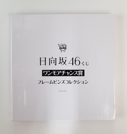 日向坂46 2021日向坂46くじ ワンモアチャンス賞 フレームピンズ