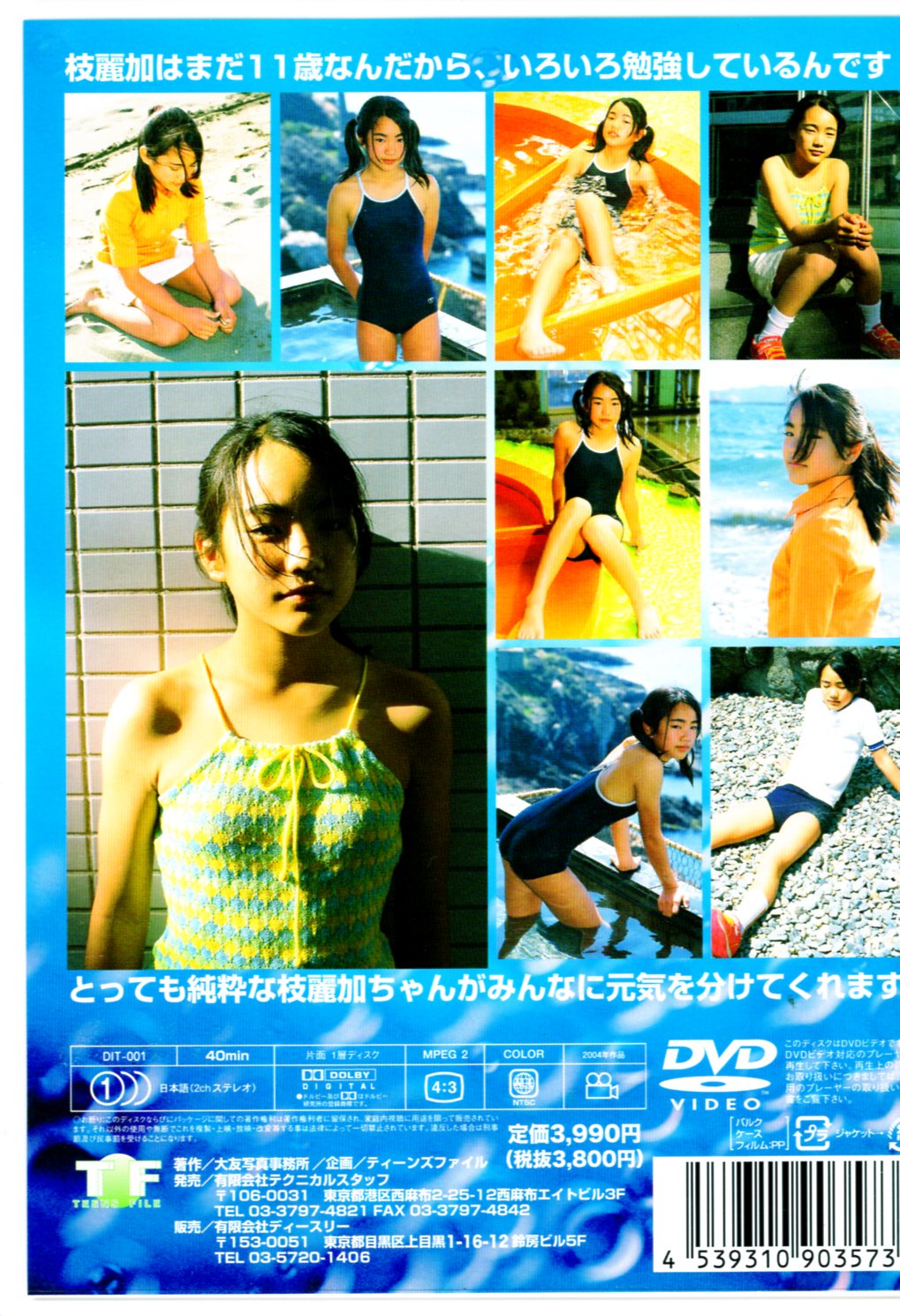 テクニカルスタッフ(高田枝麗加) DVD しゃんぷーvol.1 | ありある | まんだらけ MANDARAKE