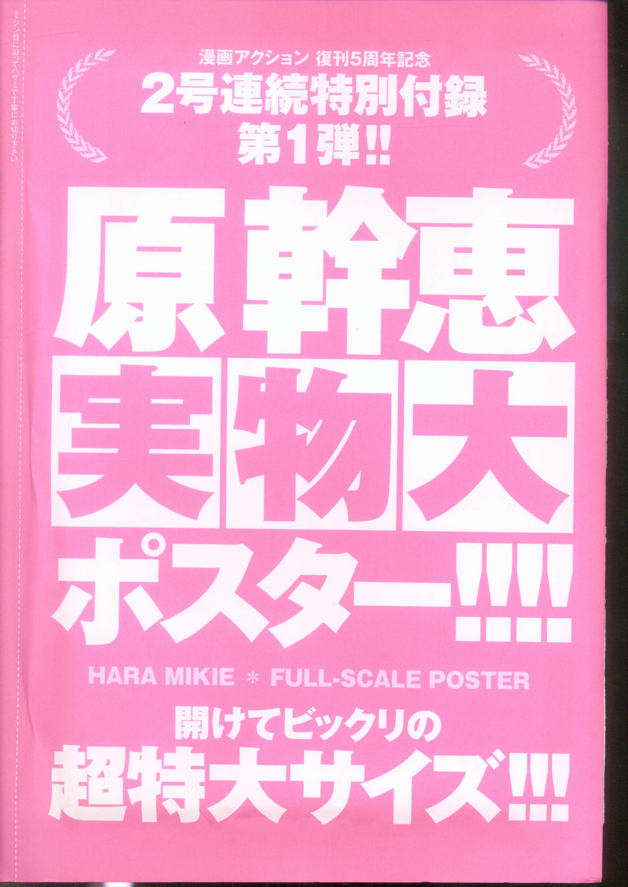 双葉社 漫画アクション 復刊5周年記念 原幹恵 実物大ポスター