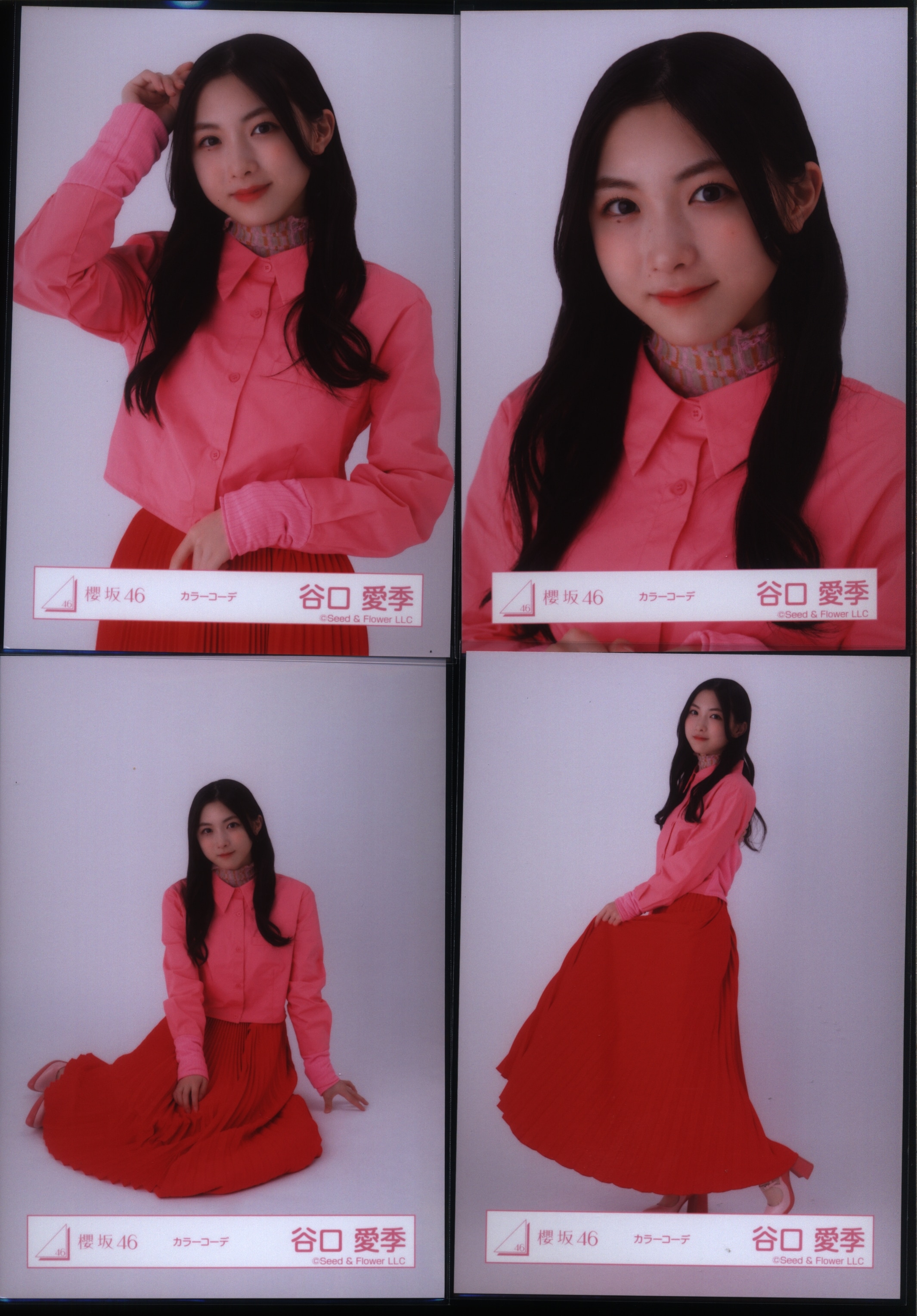櫻坂46 生写真 4種コンプ 谷口愛季 2023年 ハロウィン衣装 - 女性アイドル