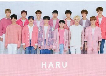 SEVENTEEN 2019 HARU Meeting Trading Card 0131 | MANDARAKE 在线商店