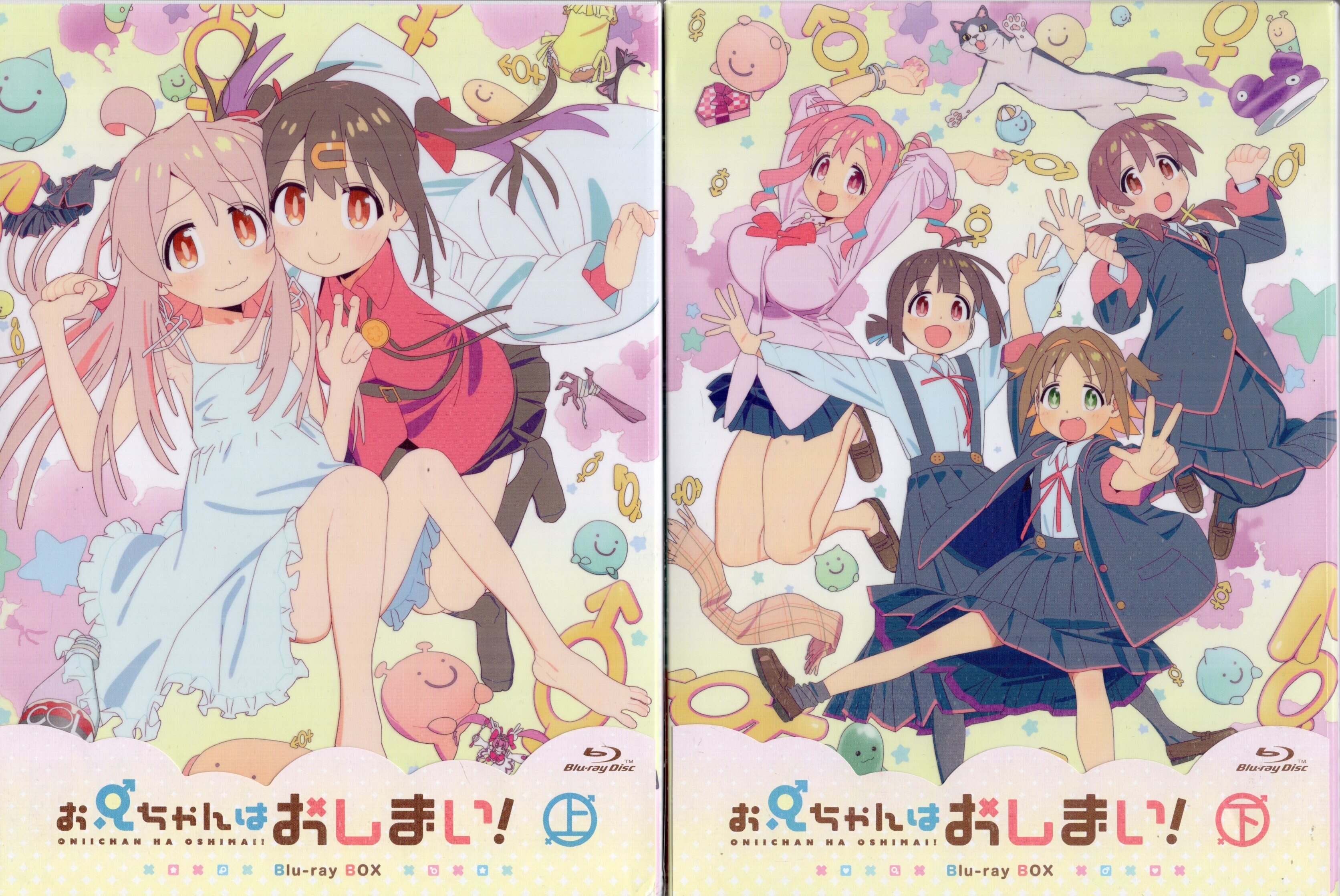 お兄ちゃんはおしまい！blu-ray上下巻特典付きセット