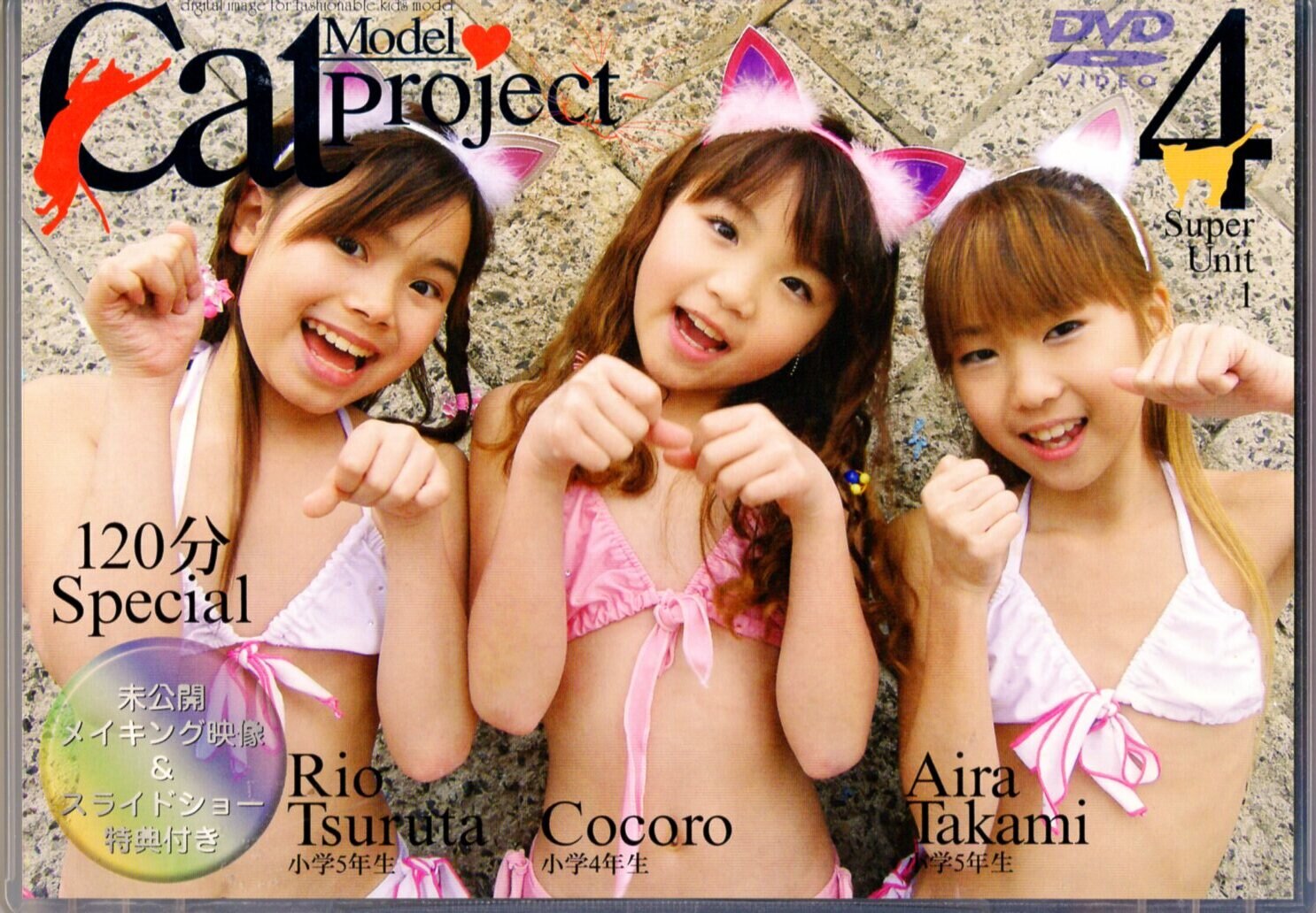 Cat model project 4