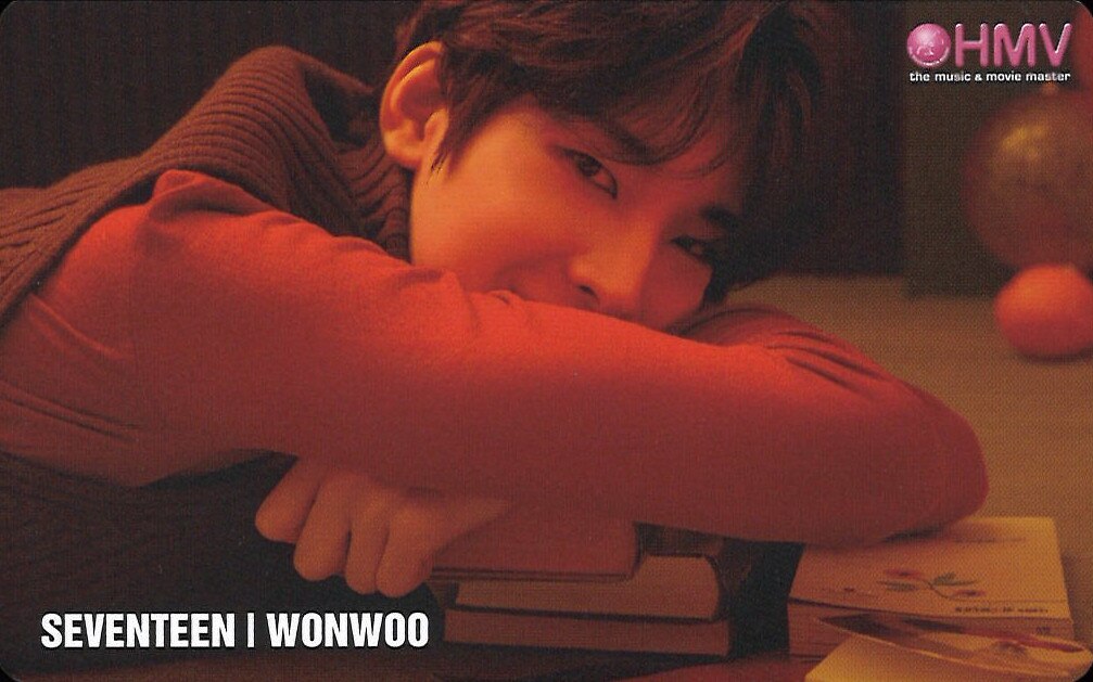 SEVENTEEN YOU MADE MY DAWN HMV特典 WONWOO トレーディングカード 