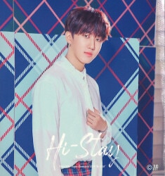 Stray Kids 2019 Japan Showcase Hi-stay Changbin ステッカー