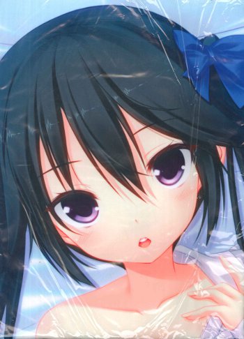 Onomatope 瑠奈璃亜 めちゃ婚 八丈椿抱き枕カバー まんだらけ Mandarake