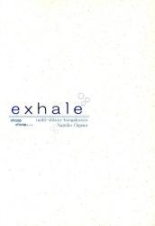 Aesthetic thought literature company