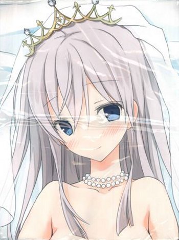 Yoshida Project Twelve Seasons Series オリジナル 沢蘭奈奈dakimakura Cover Mandarake 在线商店