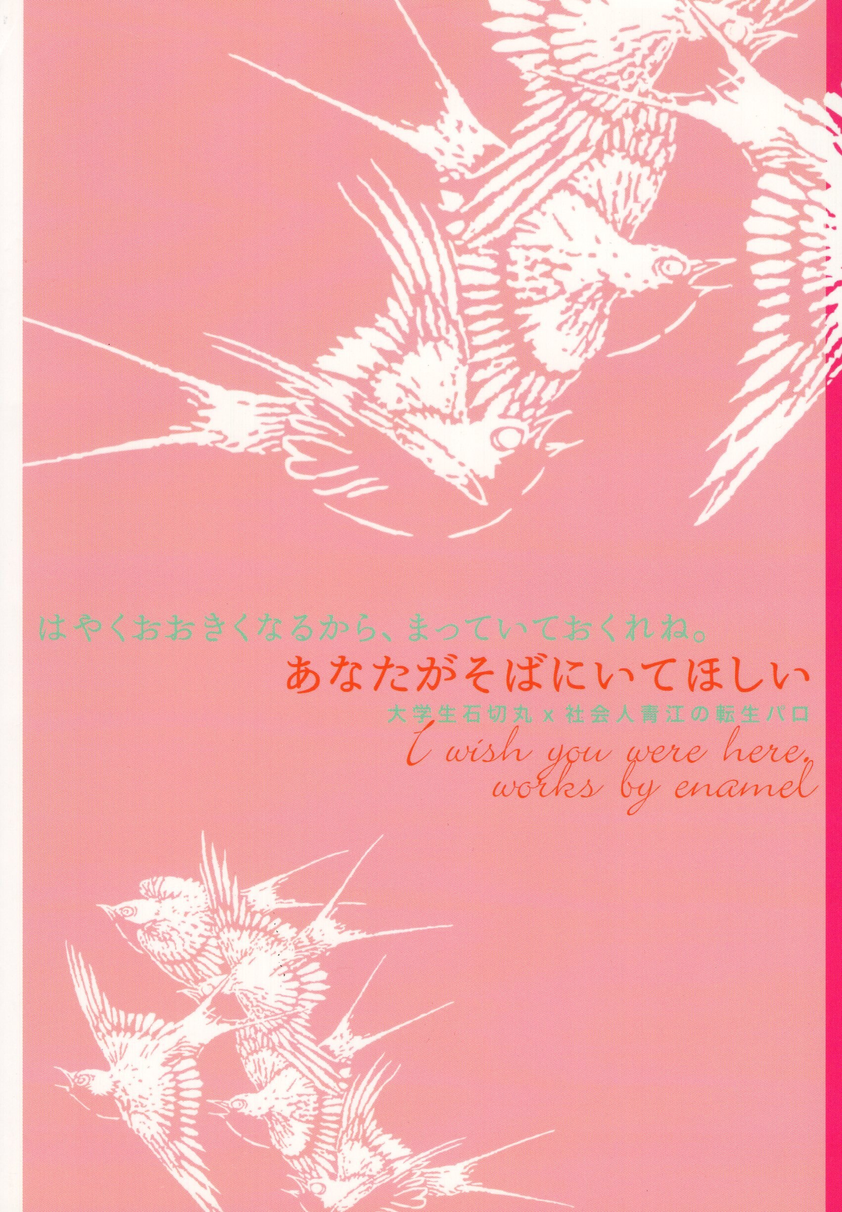 Enamel さとむら緑 あなたがそばにいてほしい 状態b まんだらけ Mandarake