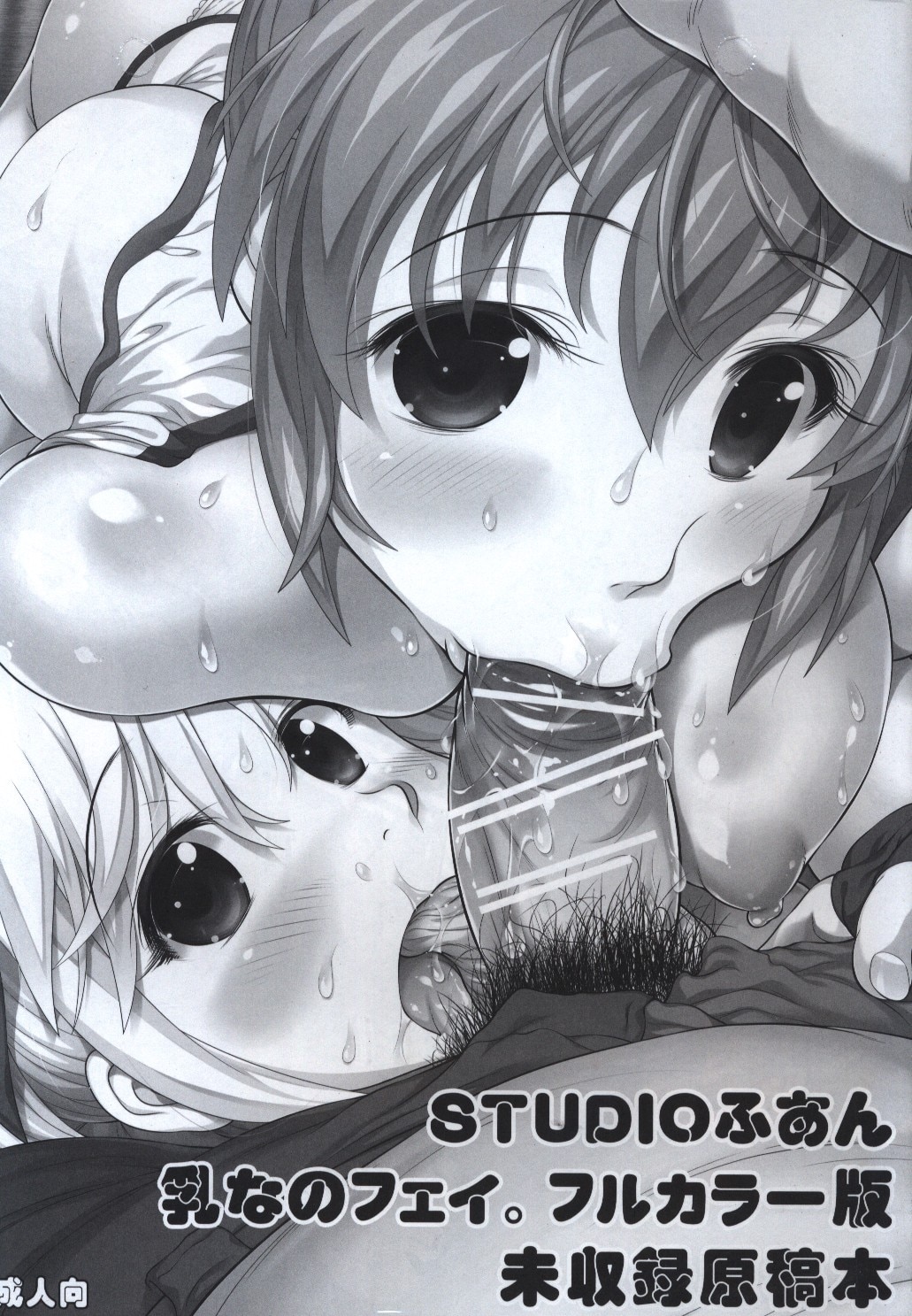 STUDIOふあん (来鈍) 乳なのフェイフルカラー版未収録原稿本 | まんだらけ Mandarake