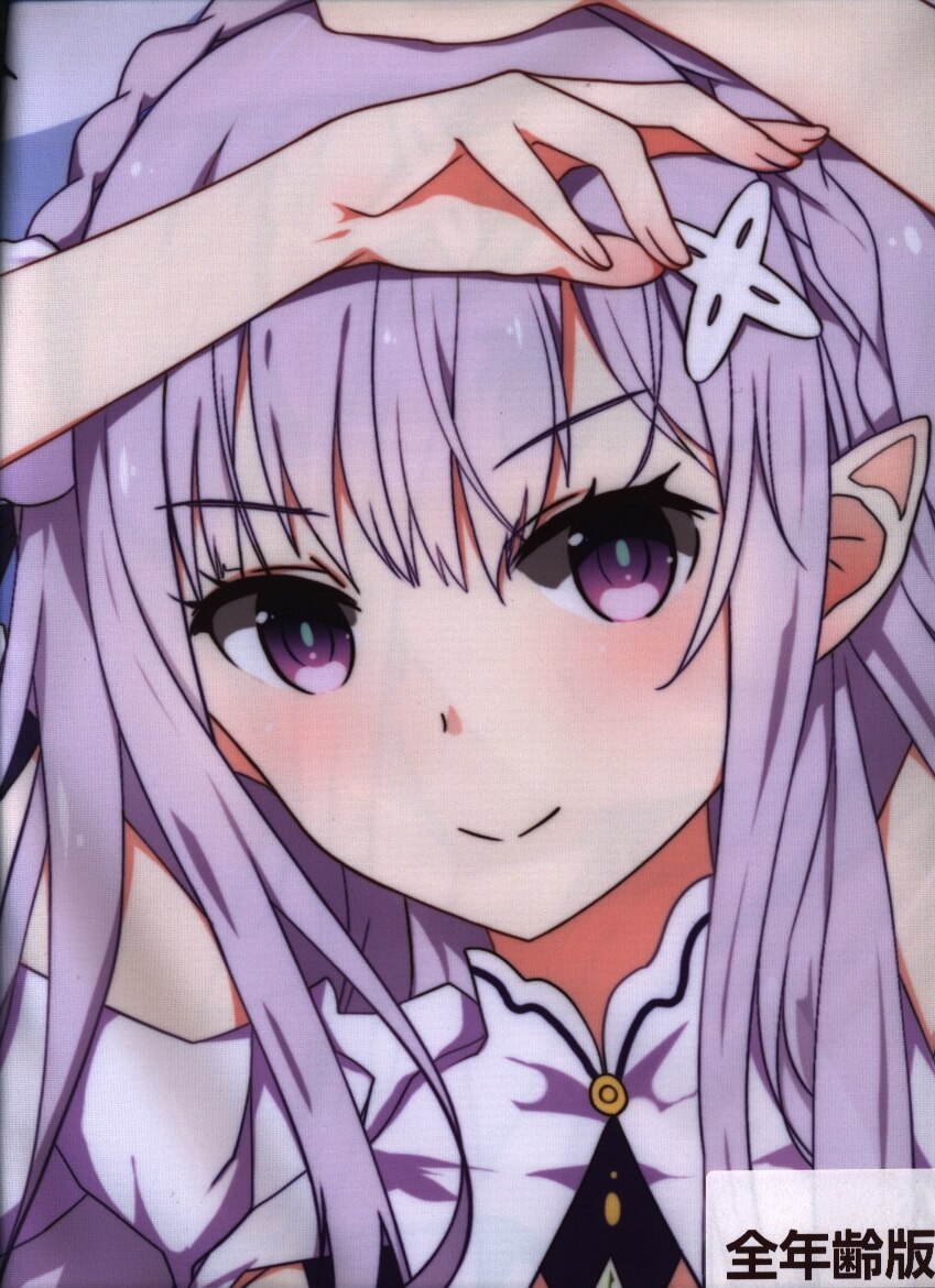 Evening Call Re ゼロから始める異世界生活 エミリア抱き枕カバー 全年齢ver まんだらけ Mandarake Evening Call Re ゼロから始める異世界生活 エミリア抱き枕カバー 全年齢ver まんだらけ Mandarake