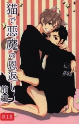 Akaitori