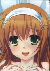 まんだらけ通販 | & -空の向こうで咲きますように-