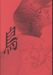 Alice Arisugawa work 