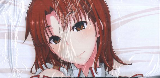 Ron Paia Fue Fate Stay Night Yoshitsuzuri Ayako Dakimakura Cover For Anime Body Pillow Mandarake Online Shop