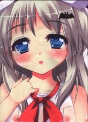 まんだらけ通販 夏宮ゆず