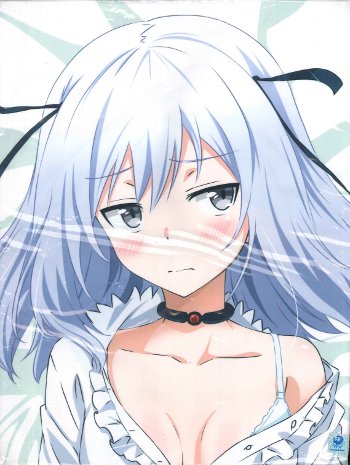 げっちゅ屋 最弱無敗の神装機竜 アイリ アーカディア抱き枕カバー まんだらけ Mandarake